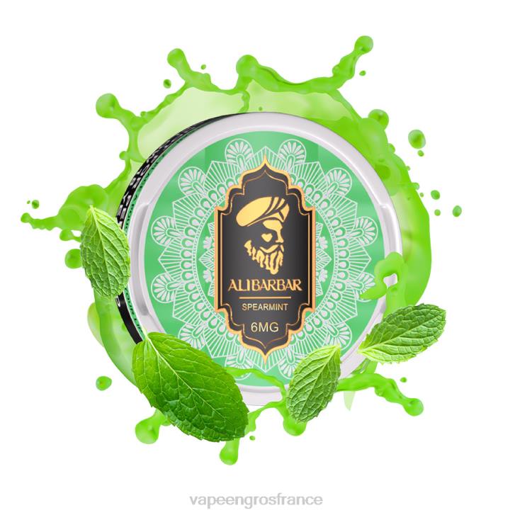 02JZ56 - Vapoteuse En Gros menthe verte ALIBARBAR pochette de nicotine