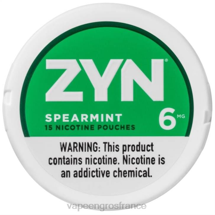 02JZ15 - Eliquide En Gros menthe verte ZYN sachet de nicotine 6mg