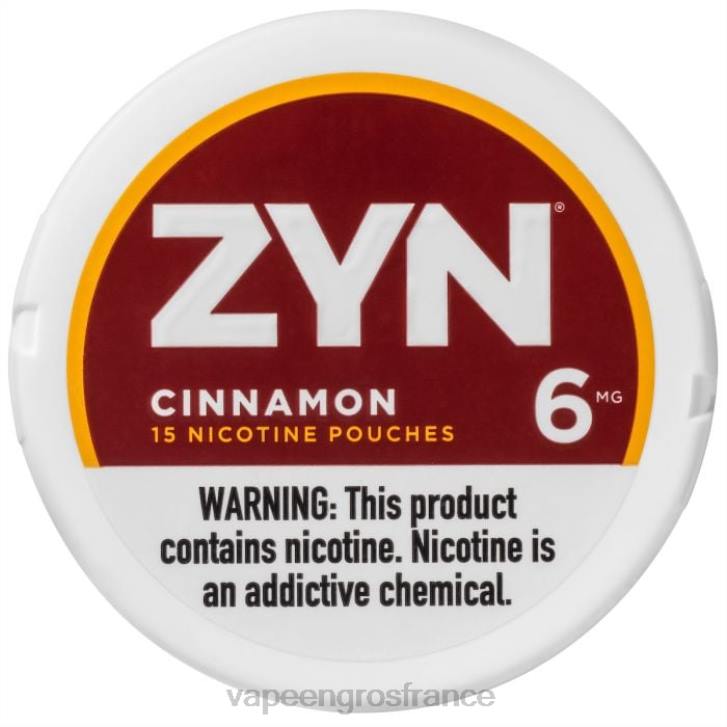 02JZ19 - Vape France Online cannelle ZYN sachet de nicotine 6mg