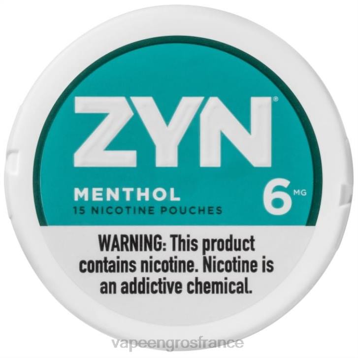 02JZ23 - Cigarette Electronique France menthol ZYN sachet de nicotine 6mg