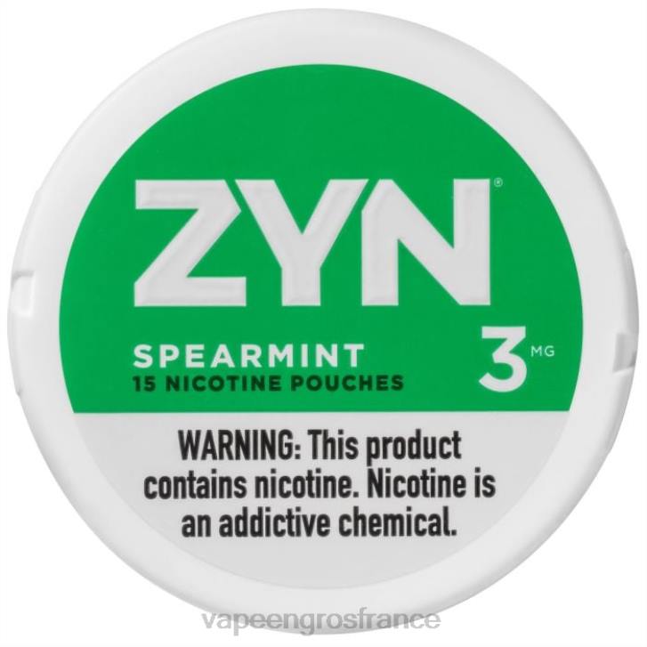 02JZ25 - Eliquide En Gros menthe verte ZYN sachet de nicotine 3mg