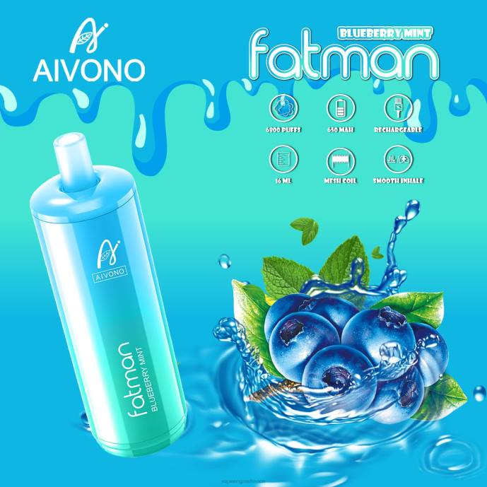 Aivono FATMAN 6800 menthe myrtille - 80H822 Vape France Paris