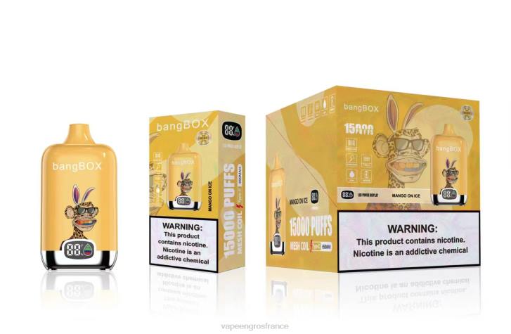 02JZ137 - Vape France Prix mangue sur glace Bang Box 15000