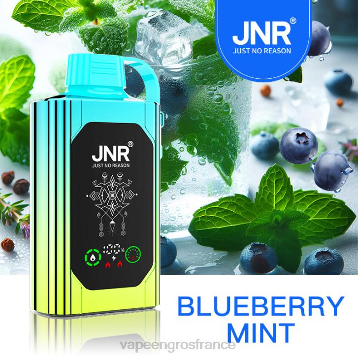 02JZ618 - Vape France Promotion menthe myrtille JNR SHISHA BOX