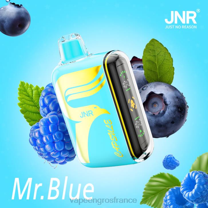 02JZ606 - Vapoteuse En Gros monsieur bleu JNR CAPSULE