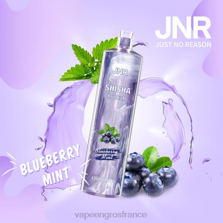 02JZ672 - Eliquide France menthe myrtille JNR SHISHA