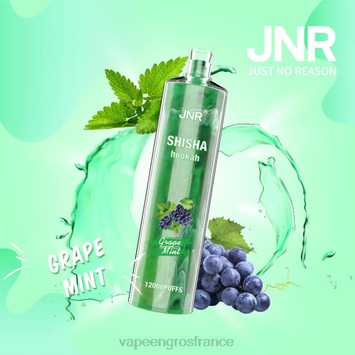 02JZ678 - Vape France Promotion menthe raisin JNR SHISHA