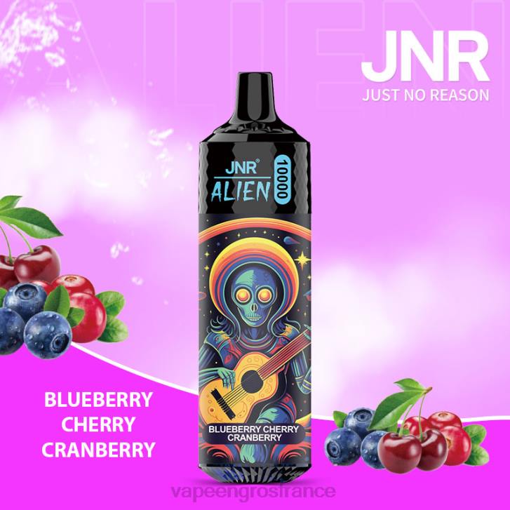 02JZ637 - Vape France Prix myrtille cerise canneberge JNR ALIEN