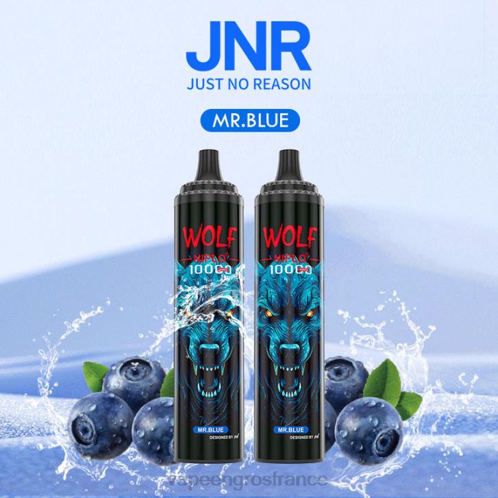 02JZ766 - Vapoteuse En Gros monsieur bleu JNR WOLF NIPLO