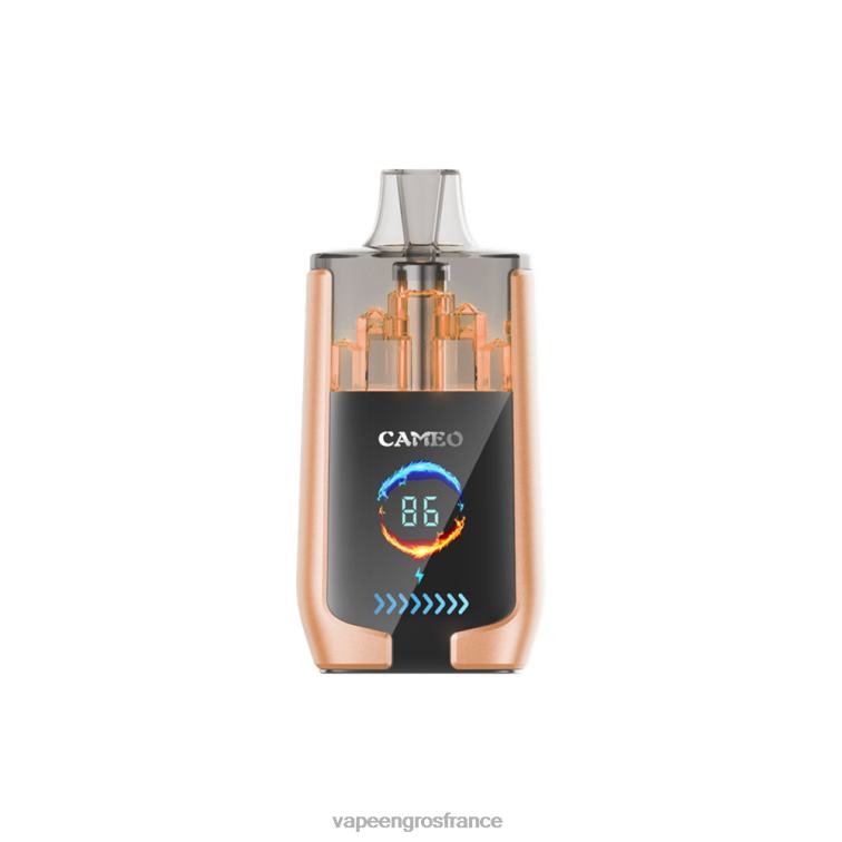 LAVIE CAMEO 30000 bouffées 480L022 | Vape France Paris cerise