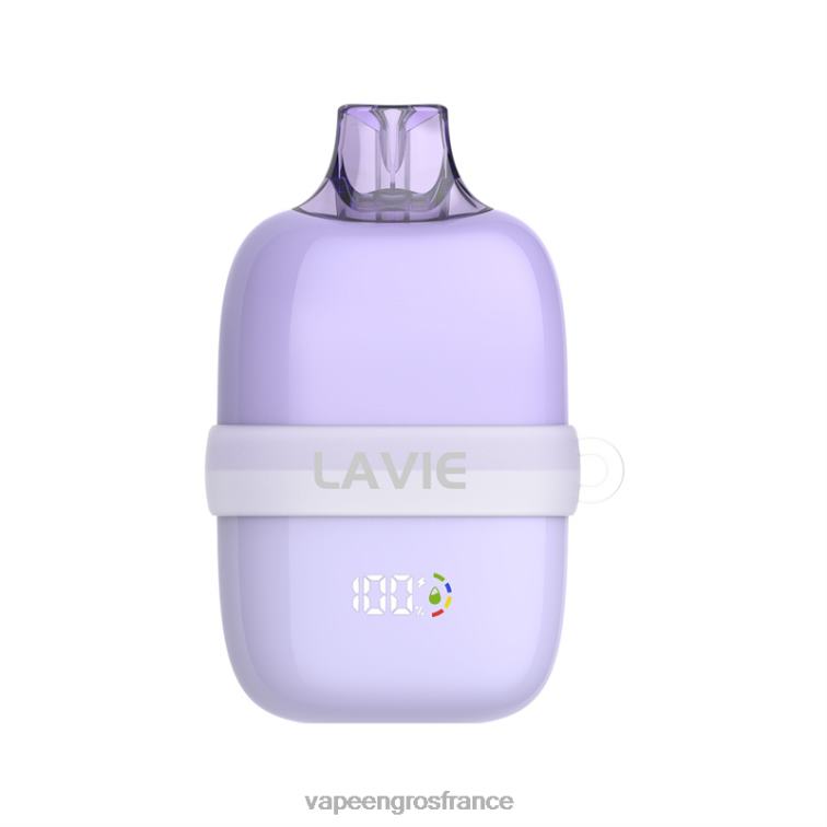 LAVIE INSIDER 12000 bouffées 480L086 | Eliquide En Gros mojito