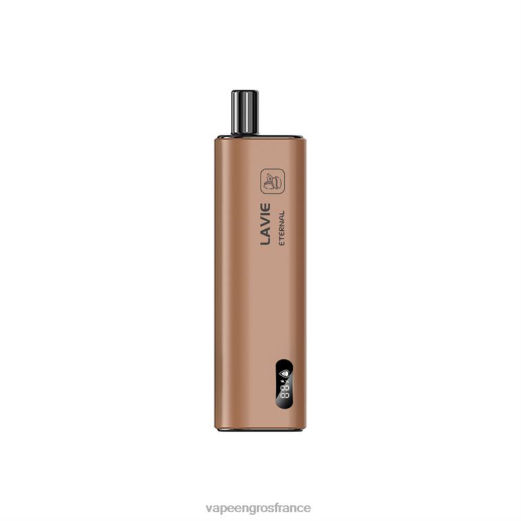 LAVIE ETERNAL 10000 bouffées 480L0117 | Vapoteuse En Gros café