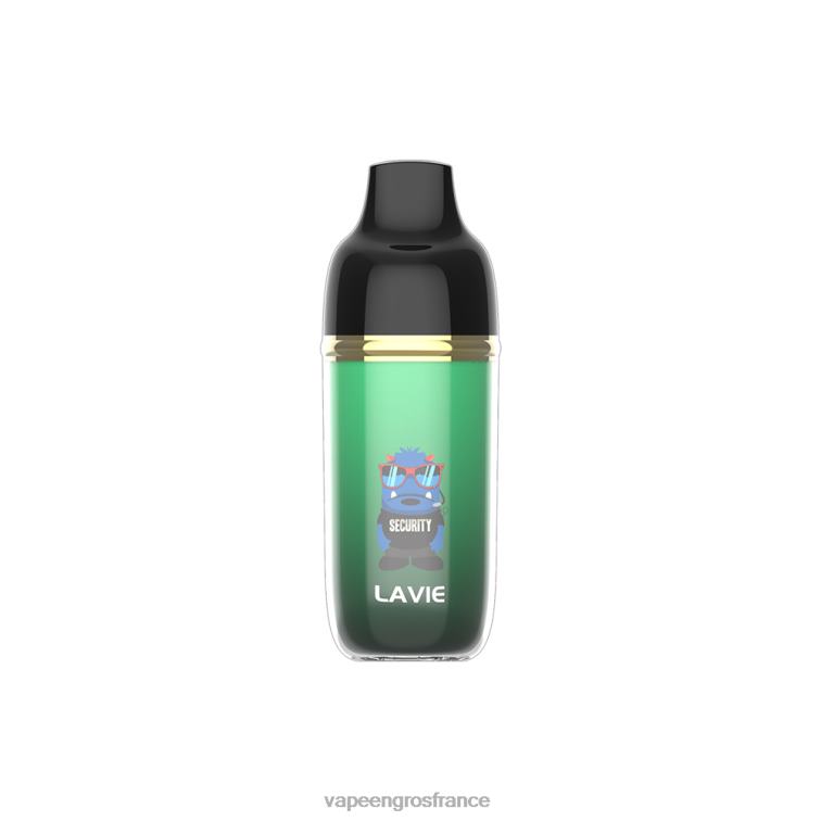 LAVIE Monster 6000 bouffées 480L0237 | Vapoteuse En Gros citronnelle