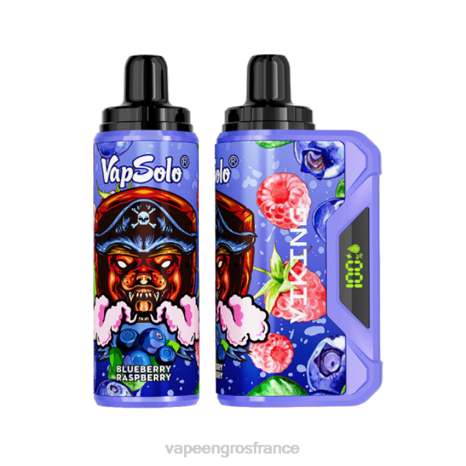 Eliquide En Gros LZ6J132 Vapsolo VIKING vape jetable myrtille framboise