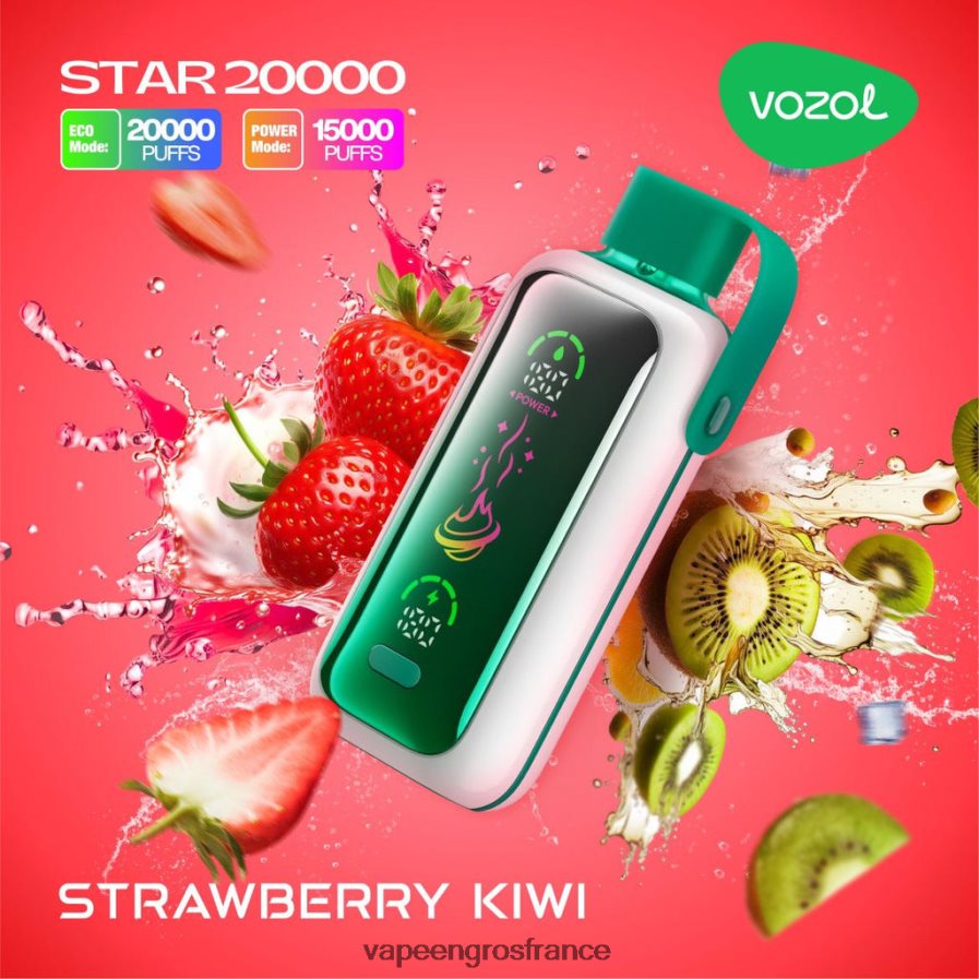 Eliquide En Gros fraise-kiwi 6Z406620 VOZOL STAR 20000