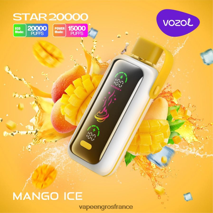 Eliquide En Gros glace à la mangue 6Z406613 VOZOL STAR 20000