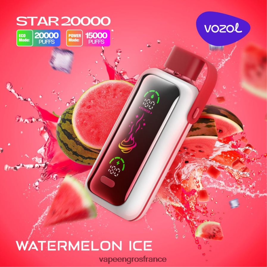 Eliquide France glace à la pastèque 6Z40663 VOZOL STAR 20000