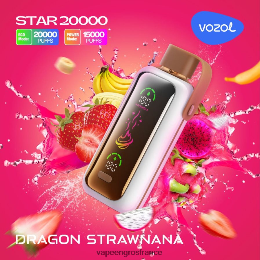 Vape En Gros France Dragon Strawnana 6Z40668 VOZOL STAR 20000