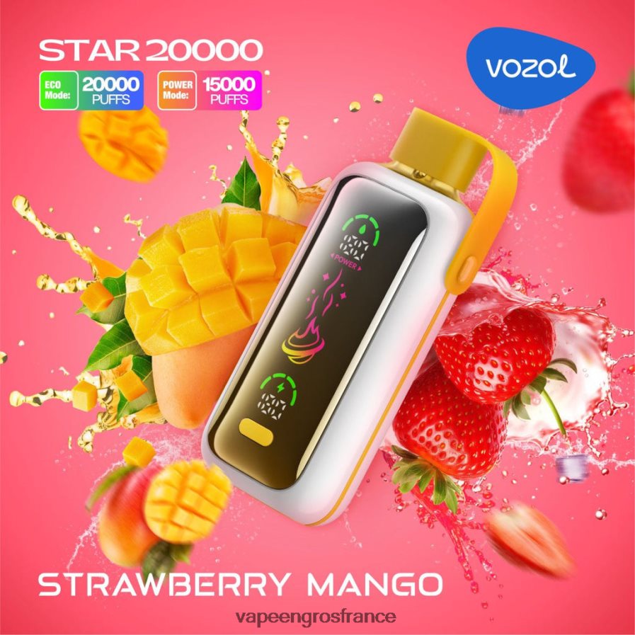 Vape En Gros France mangue fraise 6Z40661 VOZOL STAR 20000