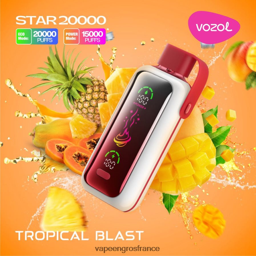 Vape France Paris explosion tropicale 6Z40662 VOZOL STAR 20000