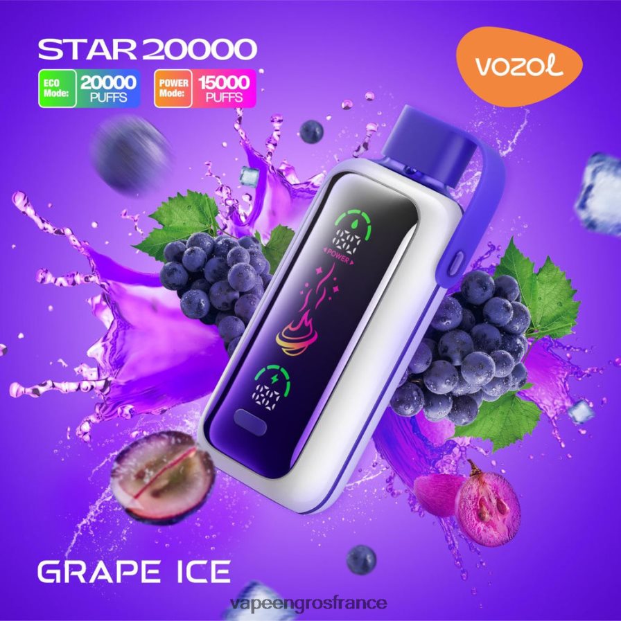 Vape France Paris glace aux raisins 6Z40669 VOZOL STAR 20000